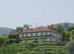 Casa da V�rzea - Manor House - 6 bedrooms