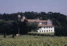 Quinta do Convento da Franqueira - Farmhouse - 3 Bedrooms