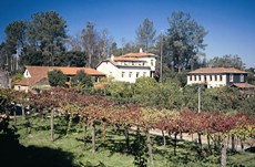 Quinta da Picaria - Quintas e Herdades - 4 Quartos