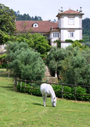 Turismo equestre